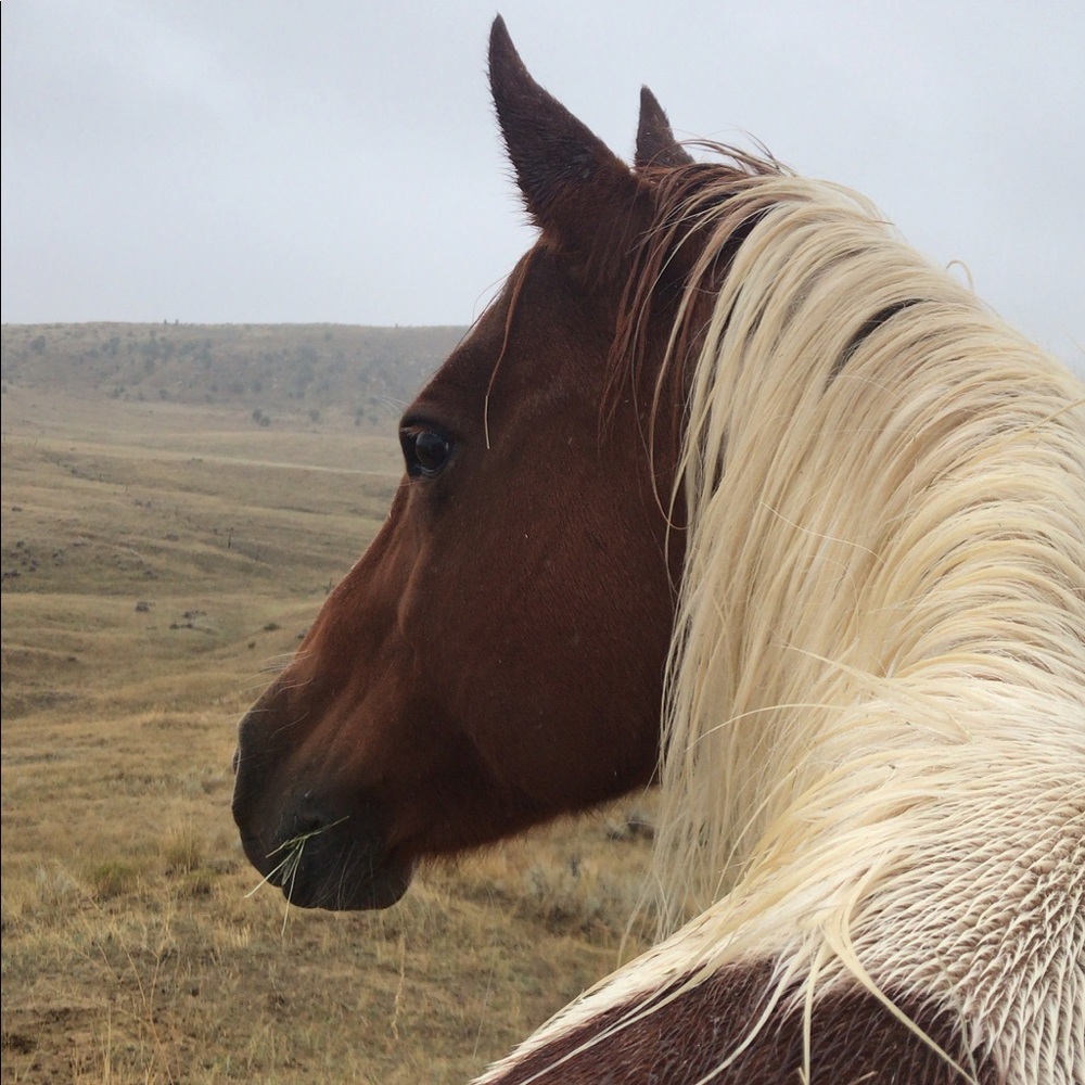 Meet your Posher, Kaitlyn